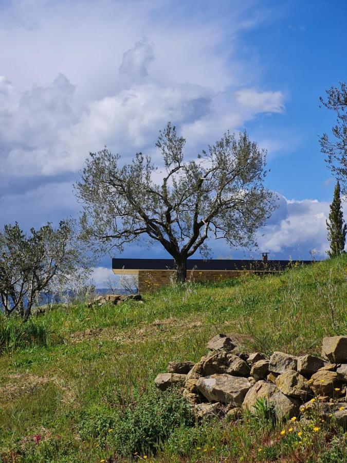 Bed and Breakfast Poggio Cagnano Манчіано Екстер'єр фото