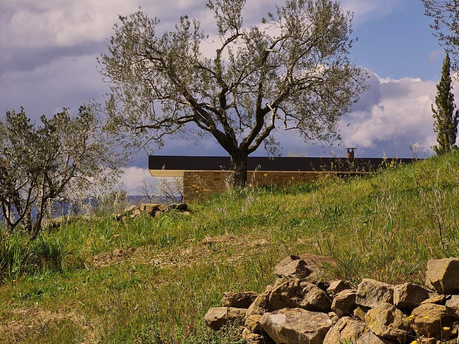 Bed and Breakfast Poggio Cagnano Манчіано Екстер'єр фото